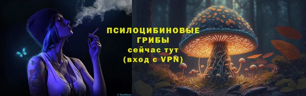 меф Бородино