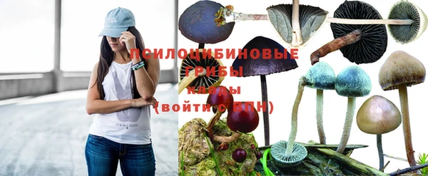 ALPHA-PVP Бугульма