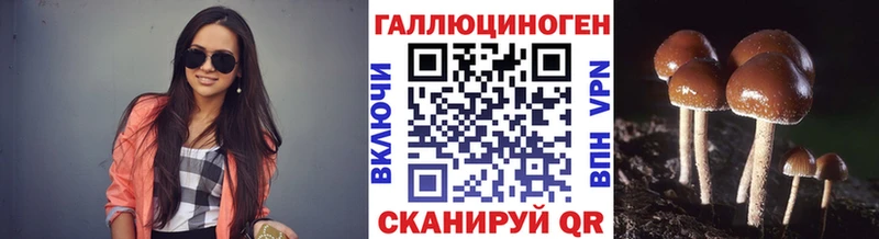 Псилоцибиновые грибы MAGIC MUSHROOMS  блэк спрут как войти  Губаха 